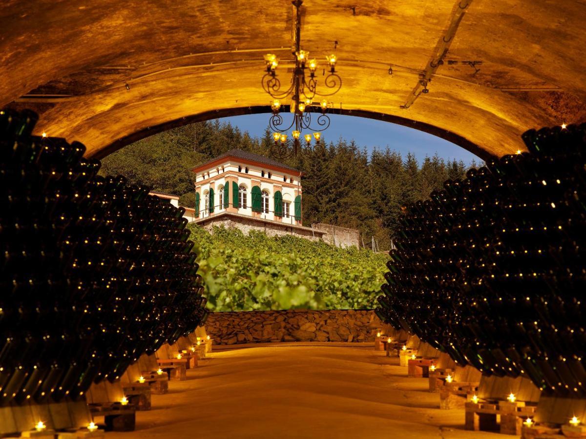 Weinromantikhotel Richtershof Mulheim an der Mosel Exterior foto