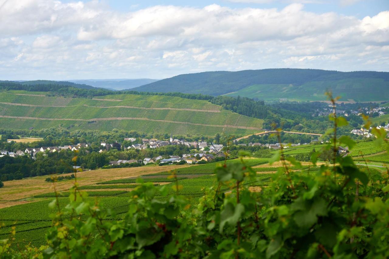 Weinromantikhotel Richtershof Mulheim an der Mosel Exterior foto